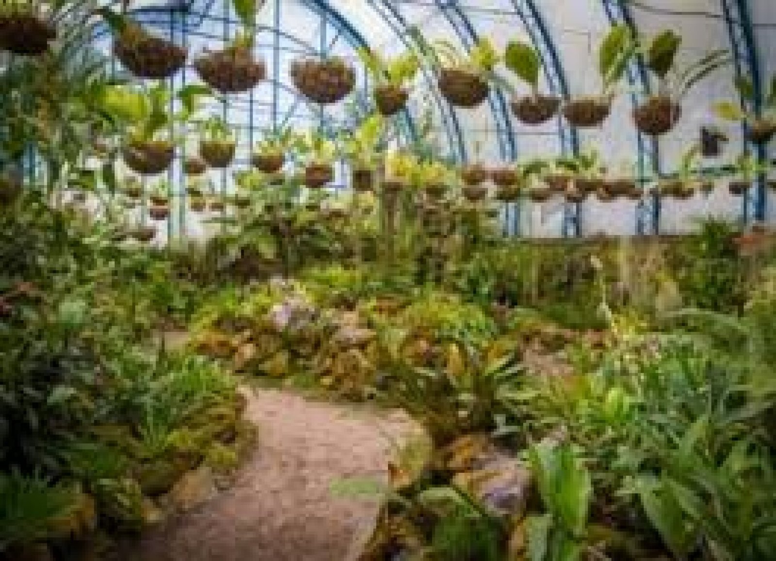 Tour al Jardín Botánico de Quito: flora, senderos y naturaleza en la ciudad