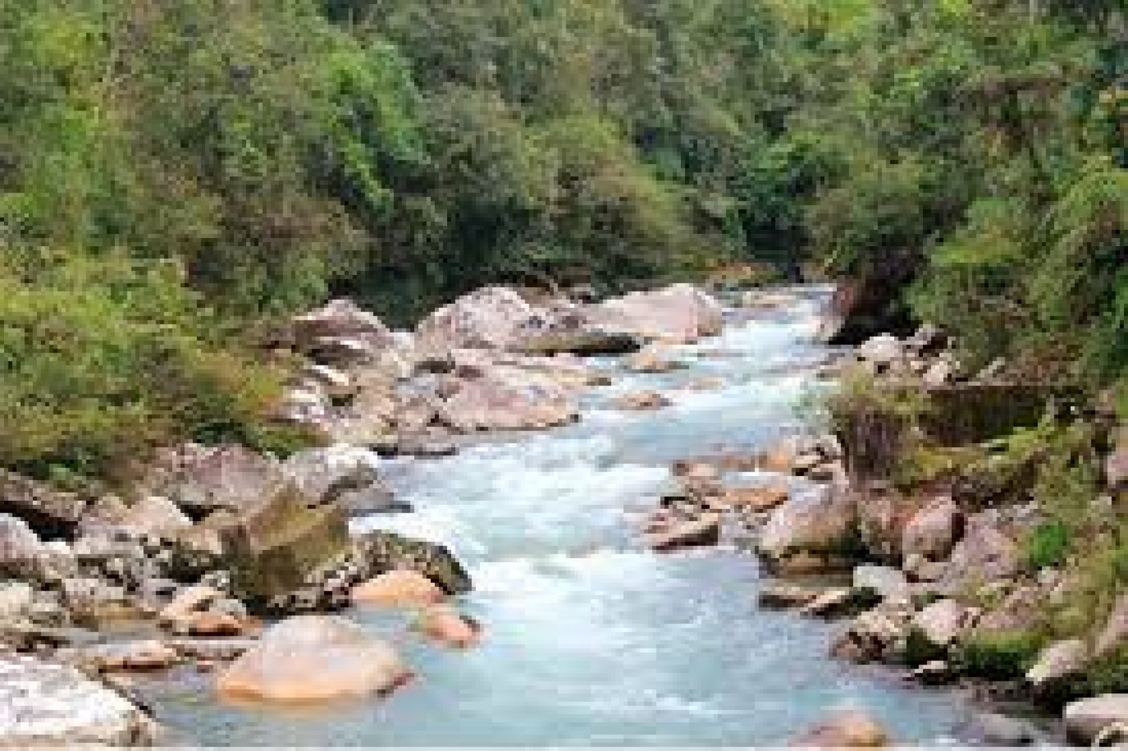  Tour al río Jondachi: aventura, pesca y fauna amazónica