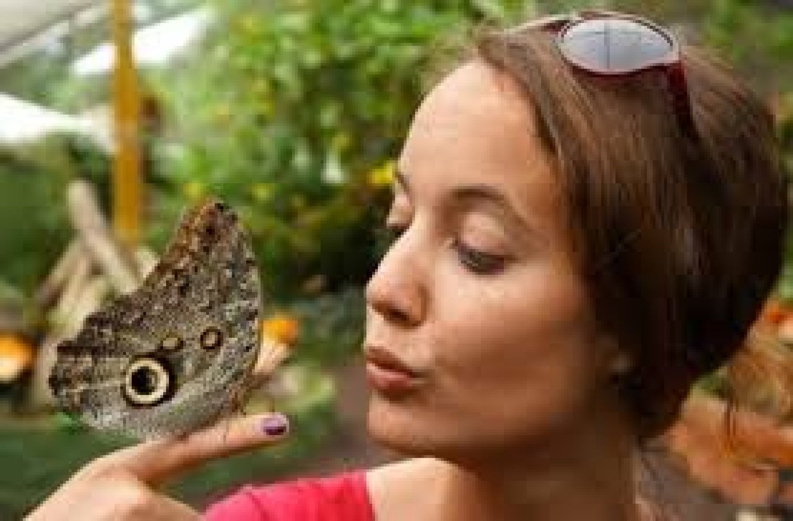 Adventure and Butterfly Watching Tour in Mindo, Pichincha