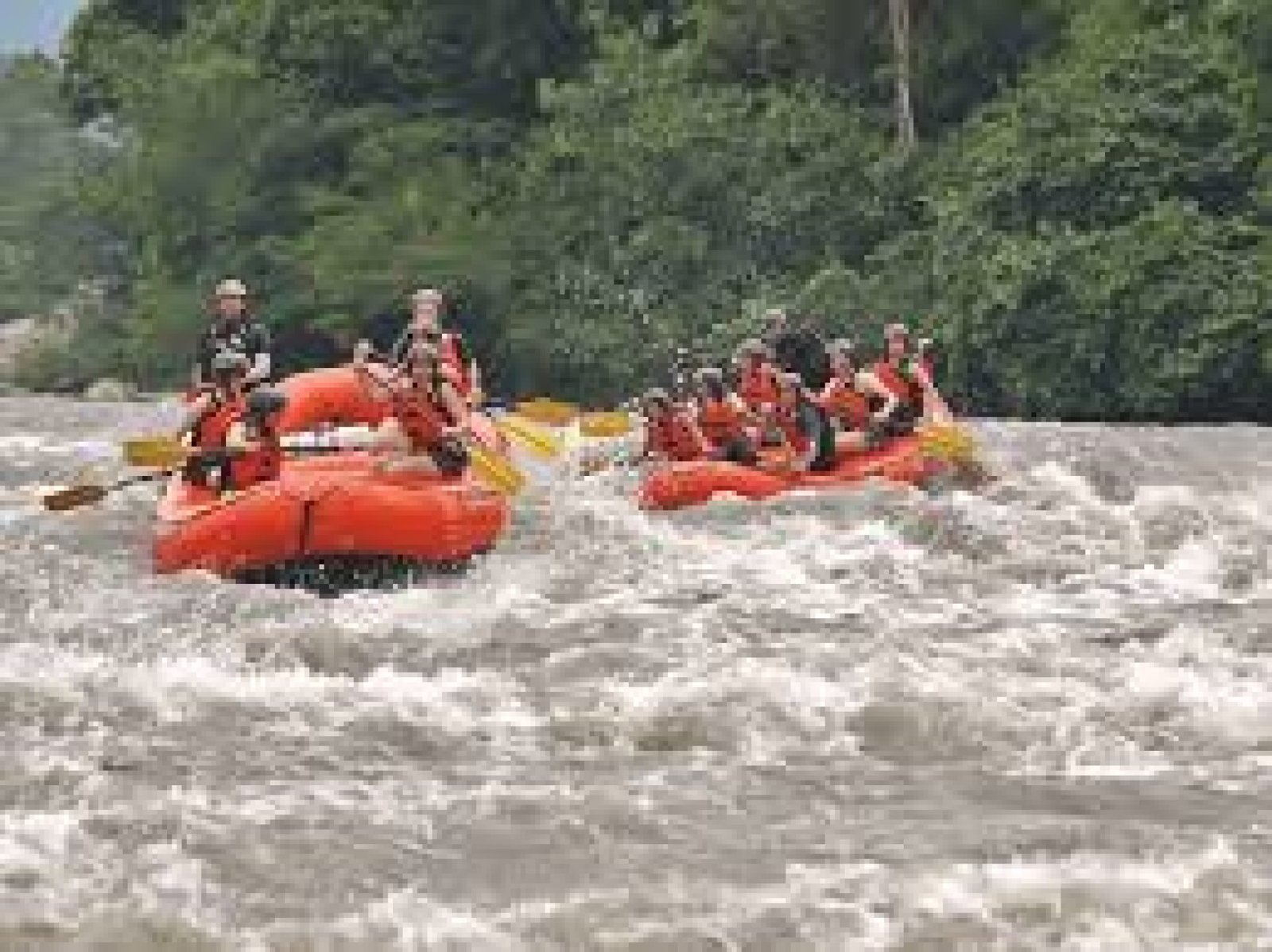 Rafting Tour on the Jatunyacu River, Ecuadorian Amazon
