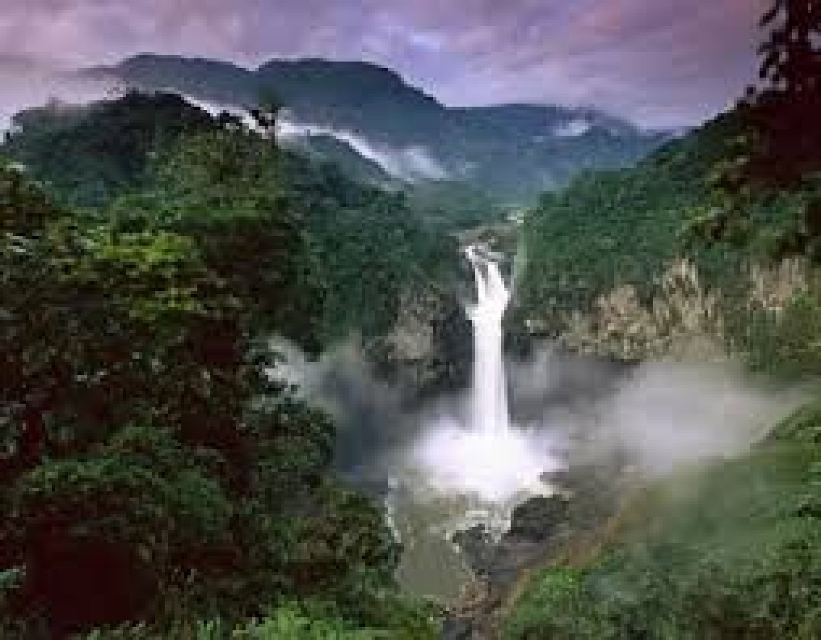 Can Children Visit the Amazon? A Family Guide to Ecuador's Rainforest