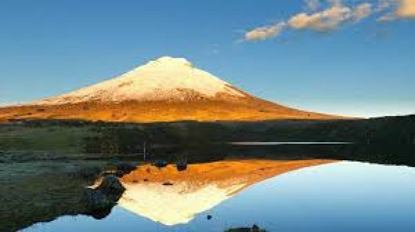 Private Tours in Ecuador: discover the Amazon, the Andes, and Galápagos your way