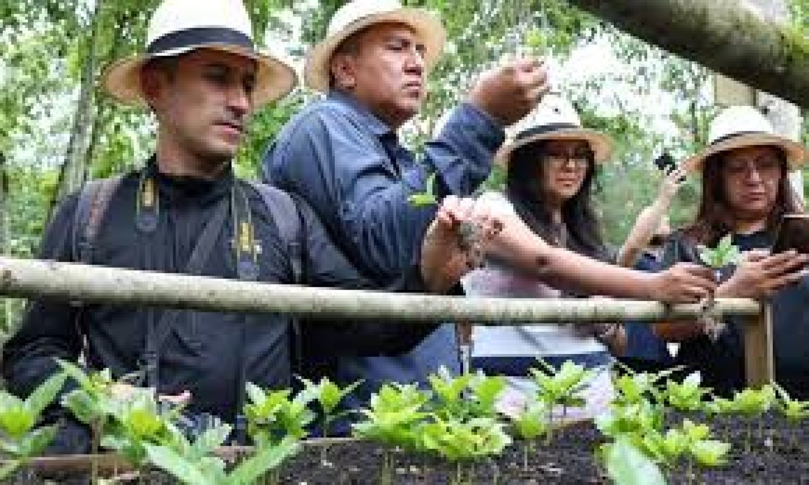 Turismo Comunitario en Galápagos: Conecta con la Vida Local en las Islas