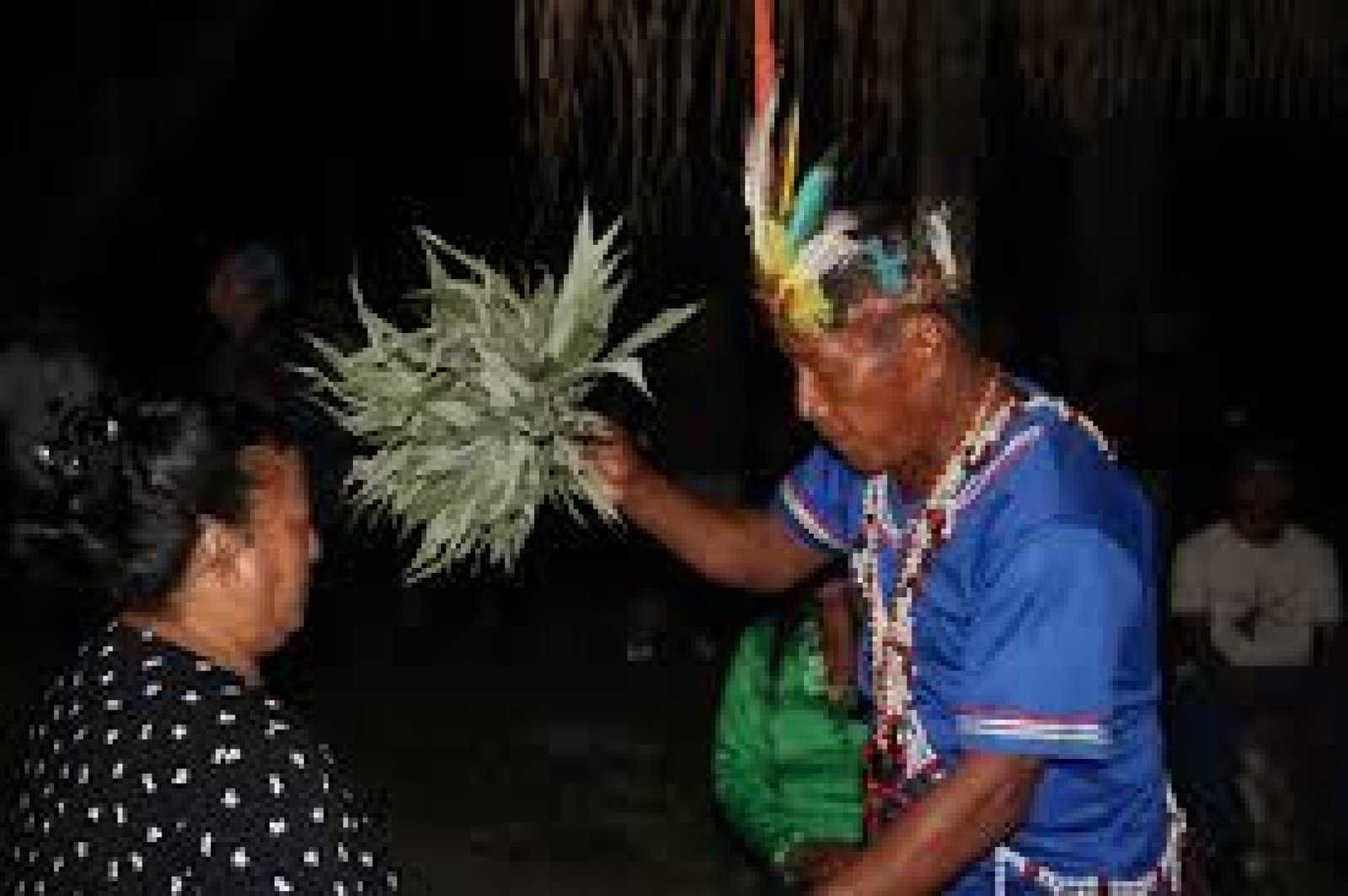 Turismo Espiritual en Ecuador: Energía Ancestral en los Andes y la Amazonía