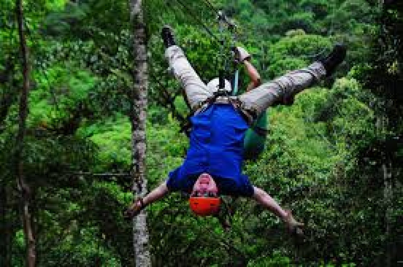 Adventure Tourism and Canopy Tours in Mindo: Thrills in the Cloud Forests