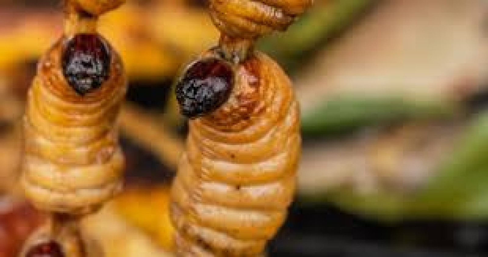 Turismo de insectos comestibles en Ecuador: gastronomía alternativa y sostenible