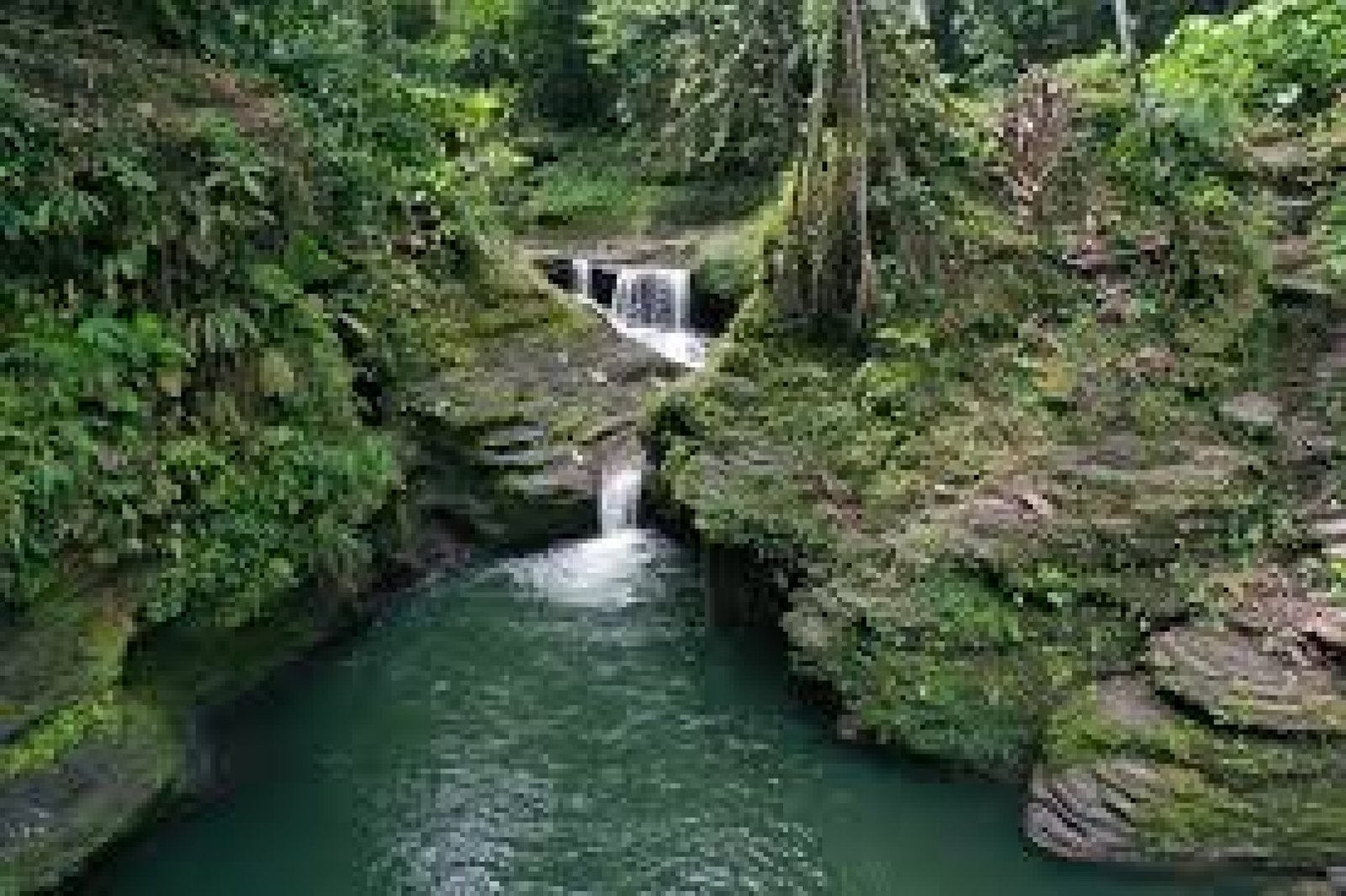 Nature Tourism in Tena: Waterfalls, Rivers, and Natural Reserves