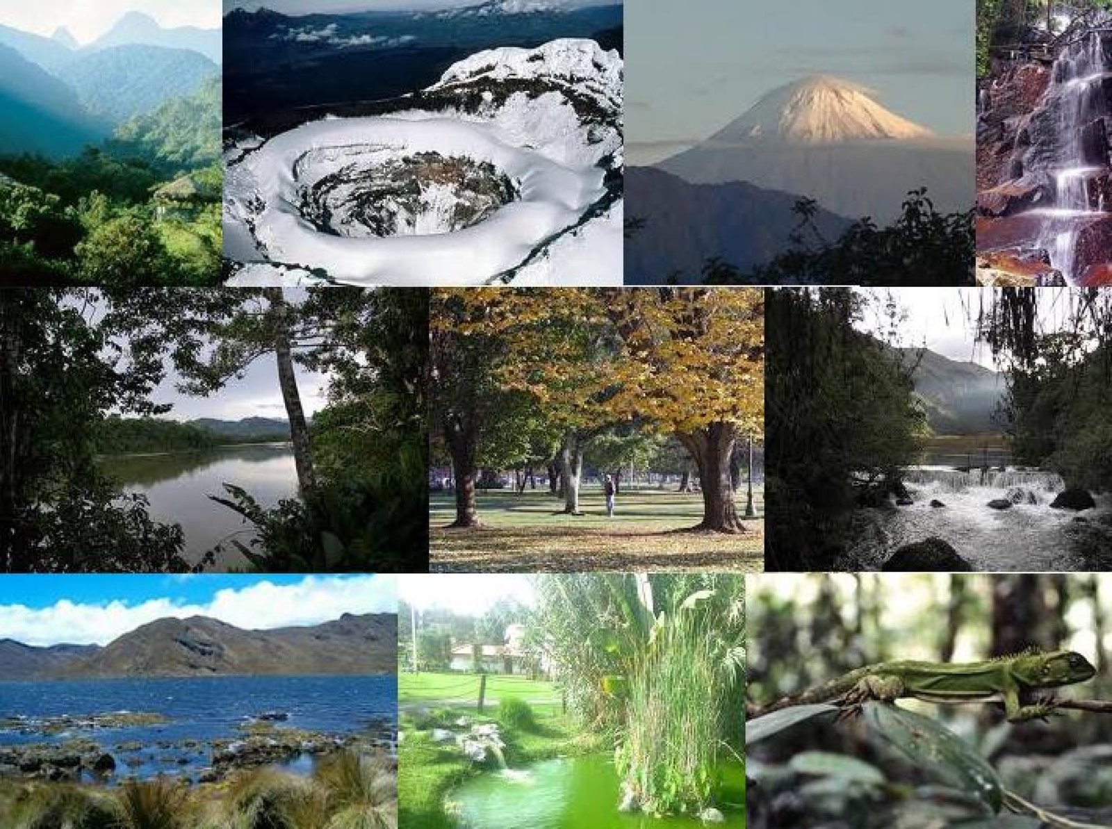 Tourism in Ecuador’s National Parks: Adventure and Nature
