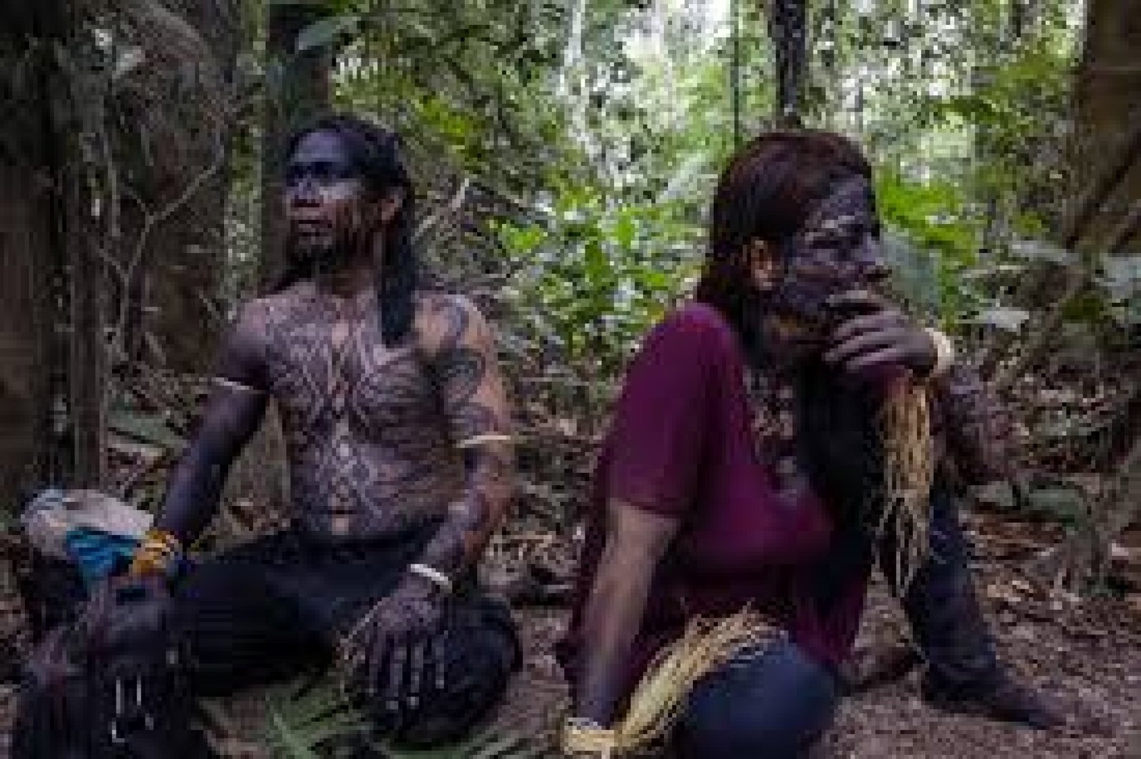 Spiritual Journey in the Amazon: Ayahuasca, Healing, and Ancestral Wisdom