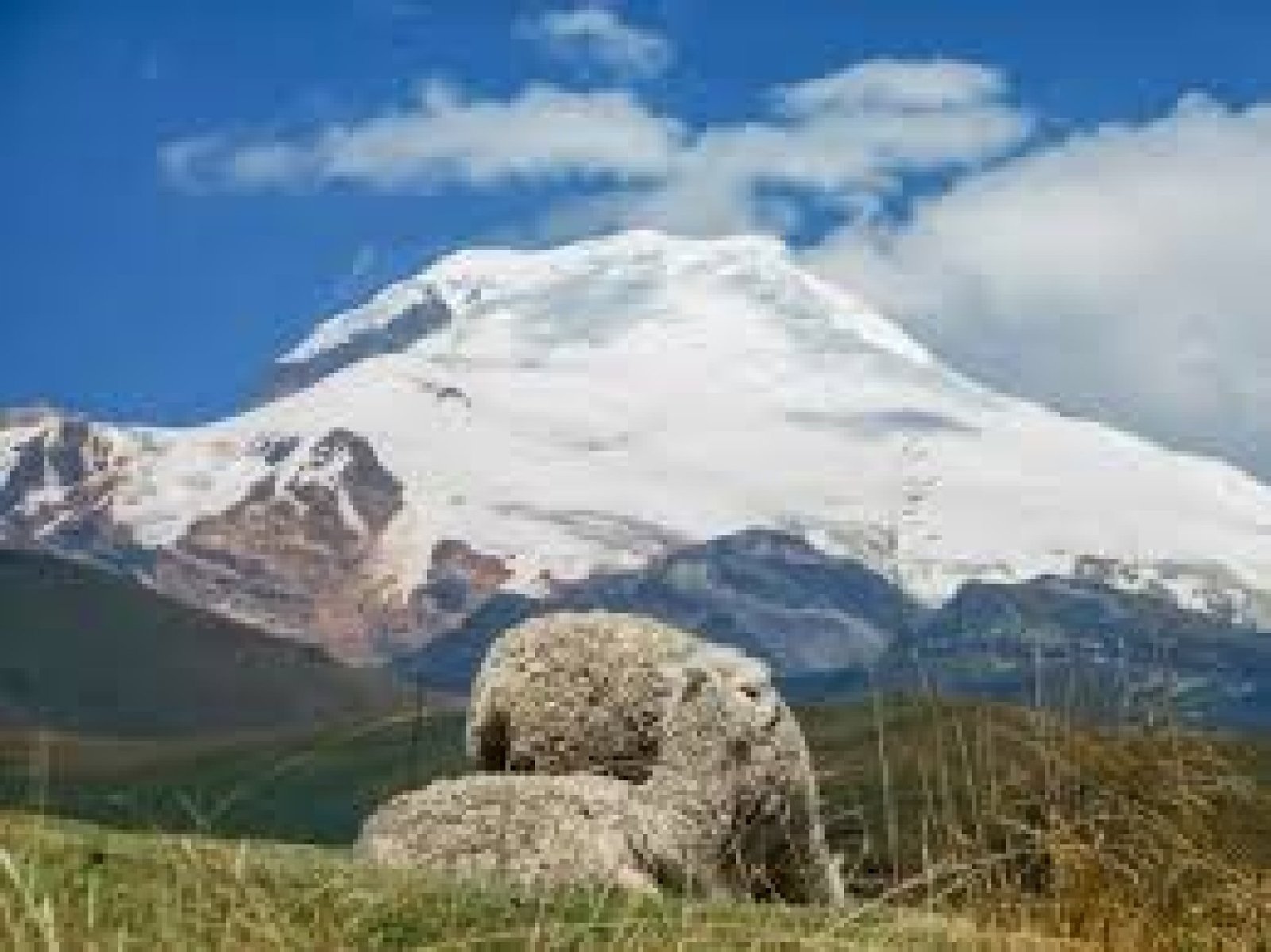Volcanes y páramos de Ecuador: turismo de aventura en la Sierra