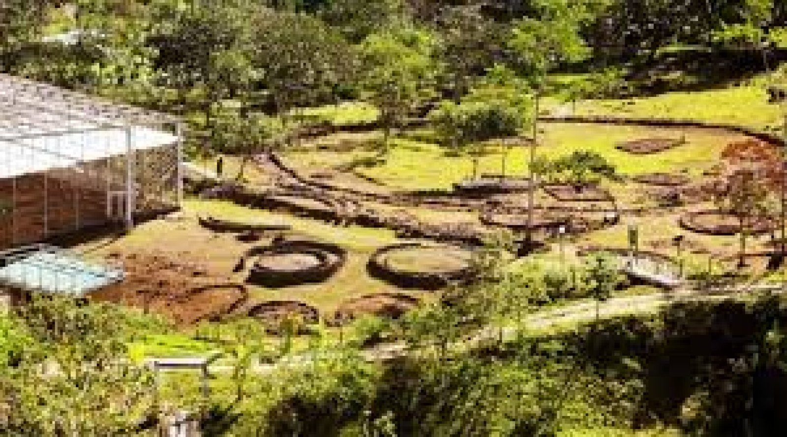 Palanda: Donde Nace el Café de Altura en Ecuador