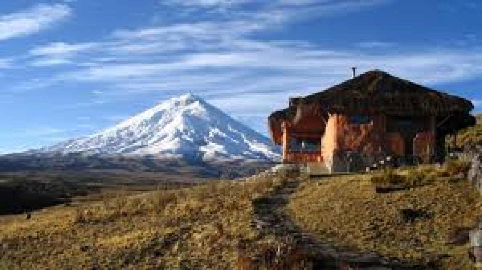 The Volcano Train: A Scenic Journey Through the Ecuadorian Highlands