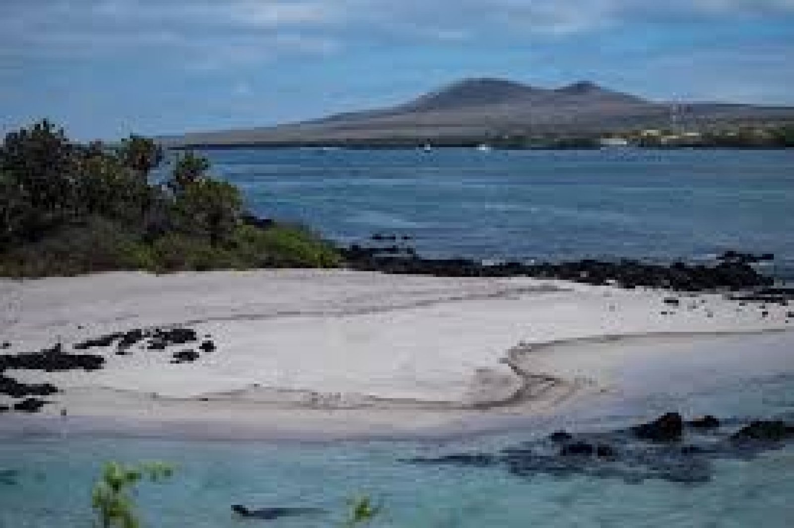 Floreana and San Cristóbal Islands: The Lesser-Known Galápagos