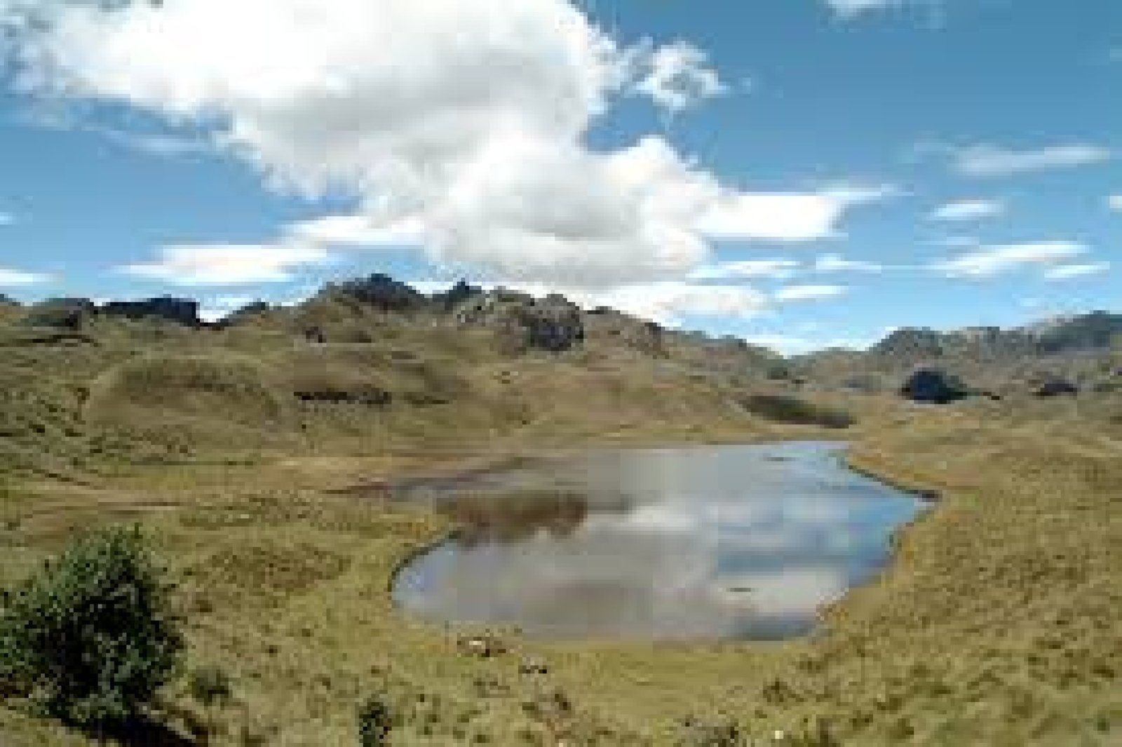 The Cajas Lagoons: A Paradise of Water and Biodiversity