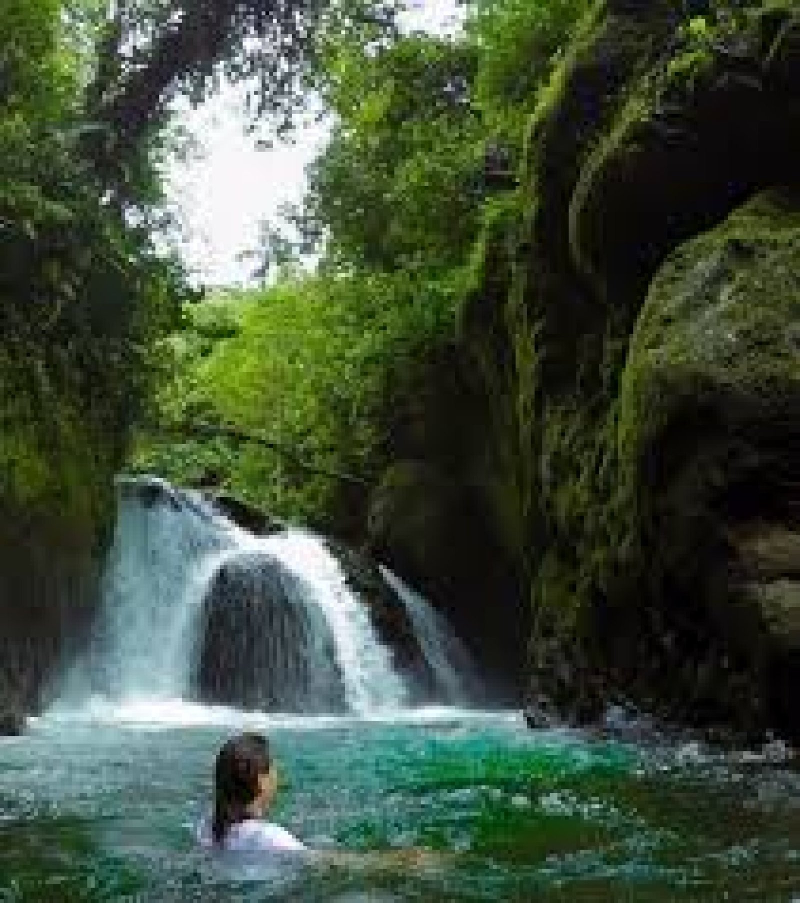 El Bosque Protector Mindo-Nambillo: Un Paraíso de Biodiversidad y Aventura