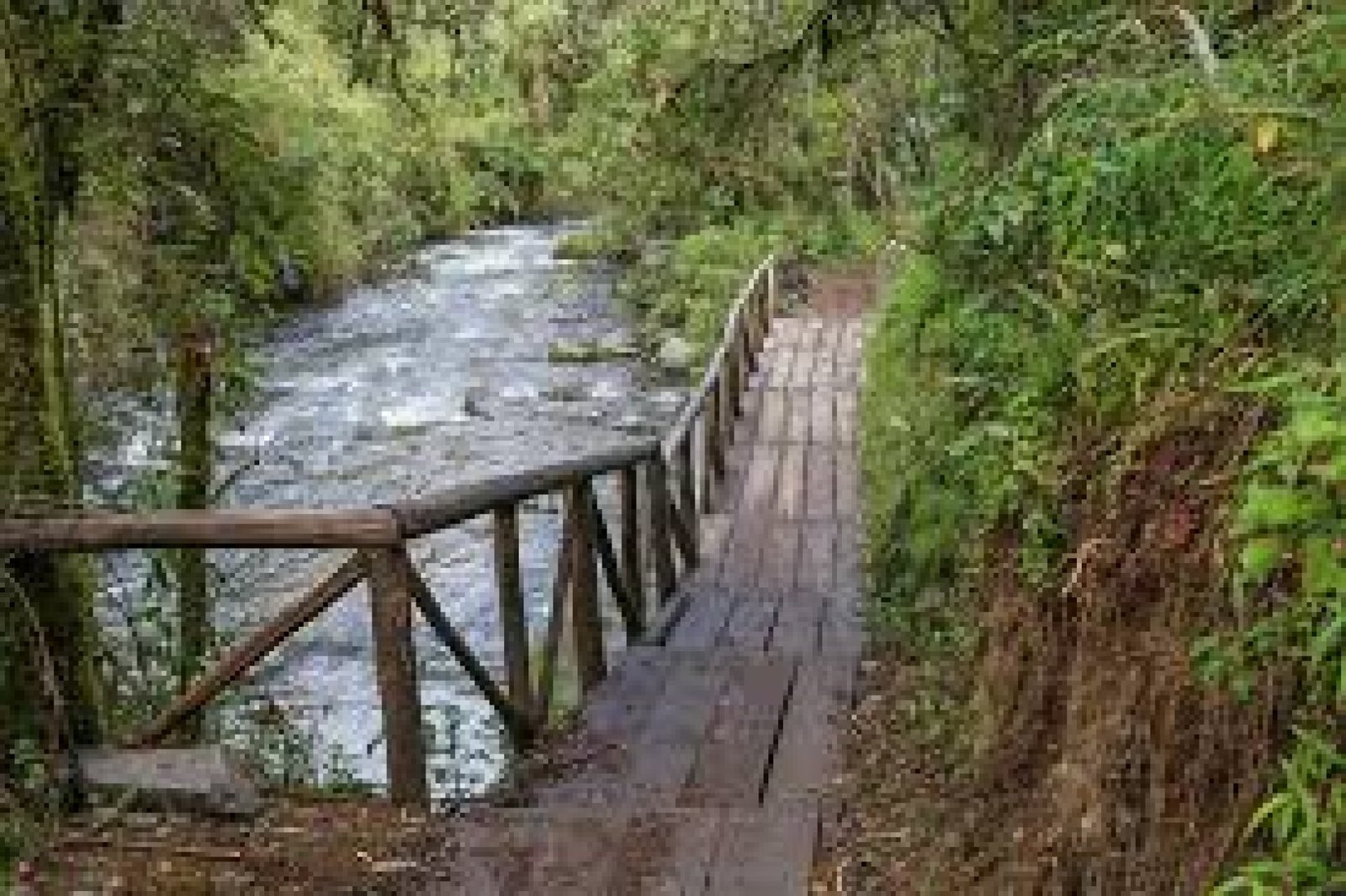 Quilcayacu Trail: Adventure and Nature in Ecuador’s Cloud Forest