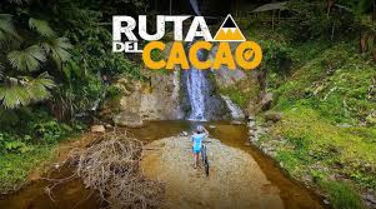 La Ruta del Cacao: Explorando el Chocolate de Ecuador