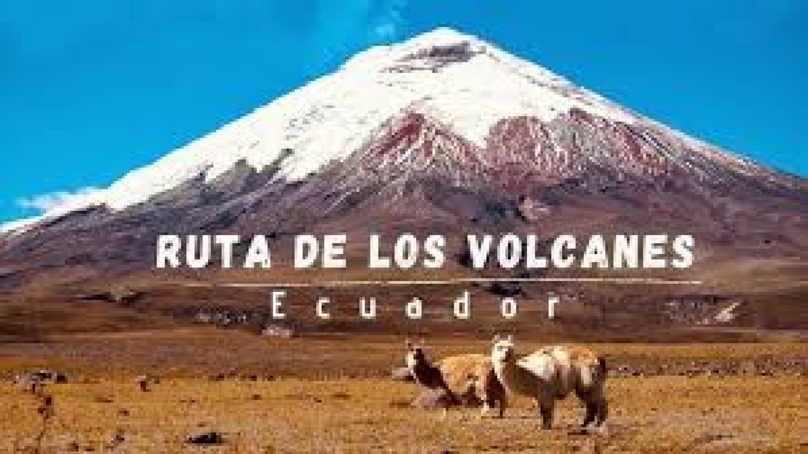 Ecuador’s Volcanoes: An Adventure Among Giants