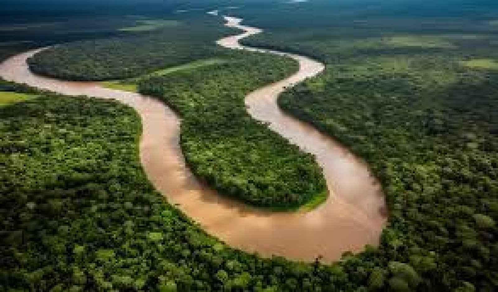 Explorando el Amazonas de Ecuador: Un Viaje al Corazón de la Selva