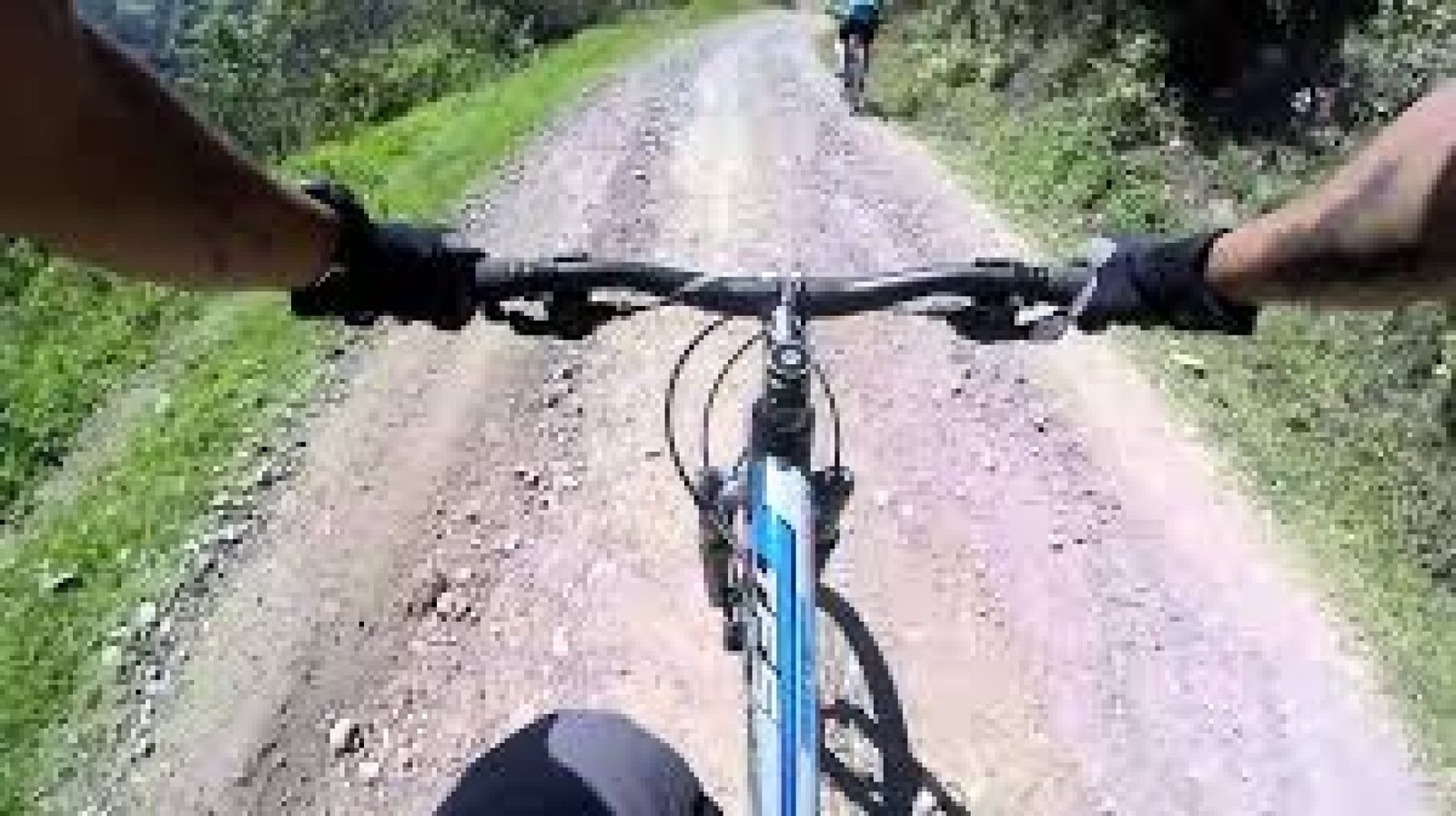 La Ruta del Quinde: Un Viaje a la Diversidad Ecológica y Cultural de la Amazonía Ecuadoriana