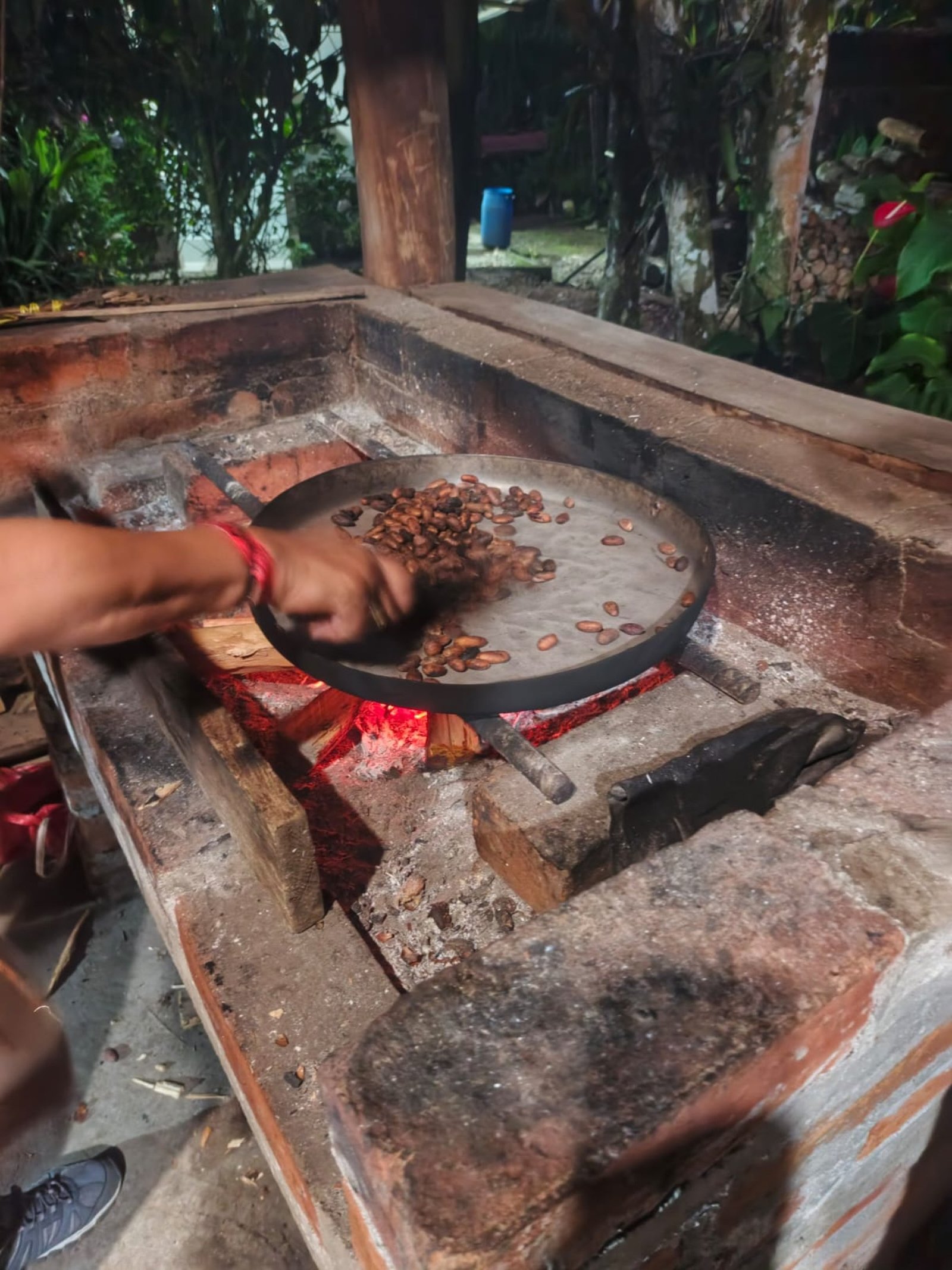 Chocolate Experiences in Ecuador: From Cacao Tree to Chocolate Bar