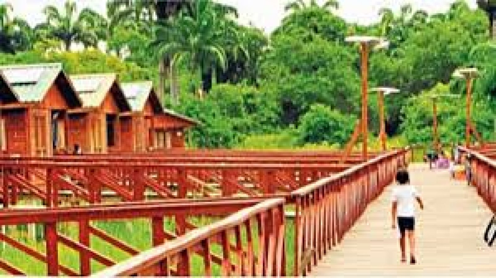 Isla Santay: Naturaleza y Sostenibilidad a Pocos Minutos de Guayaquil