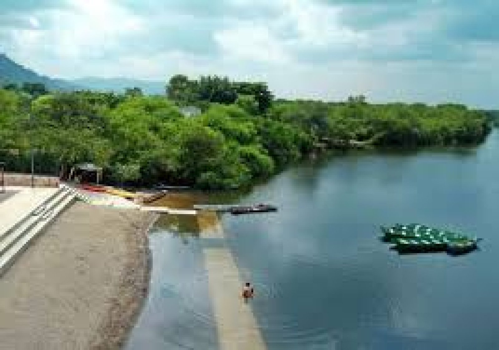 Puerto Hondo: Manglares, Delfines y Ecoturismo en la Costa de Ecuador