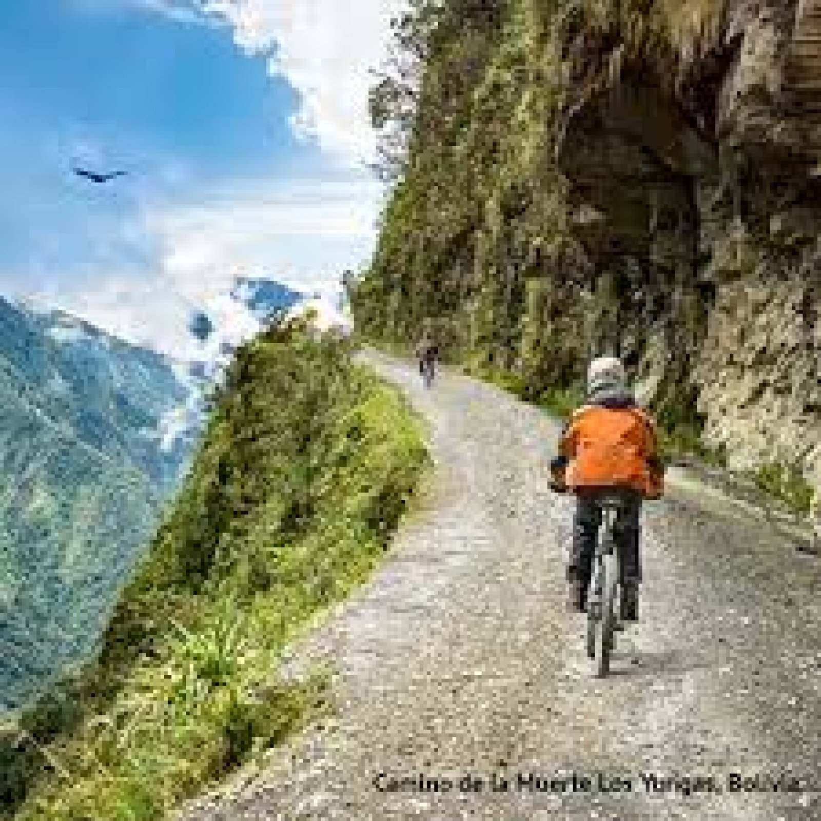 La Ruta de los Yungas: Aventura y Biodiversidad en los Andes de Ecuador