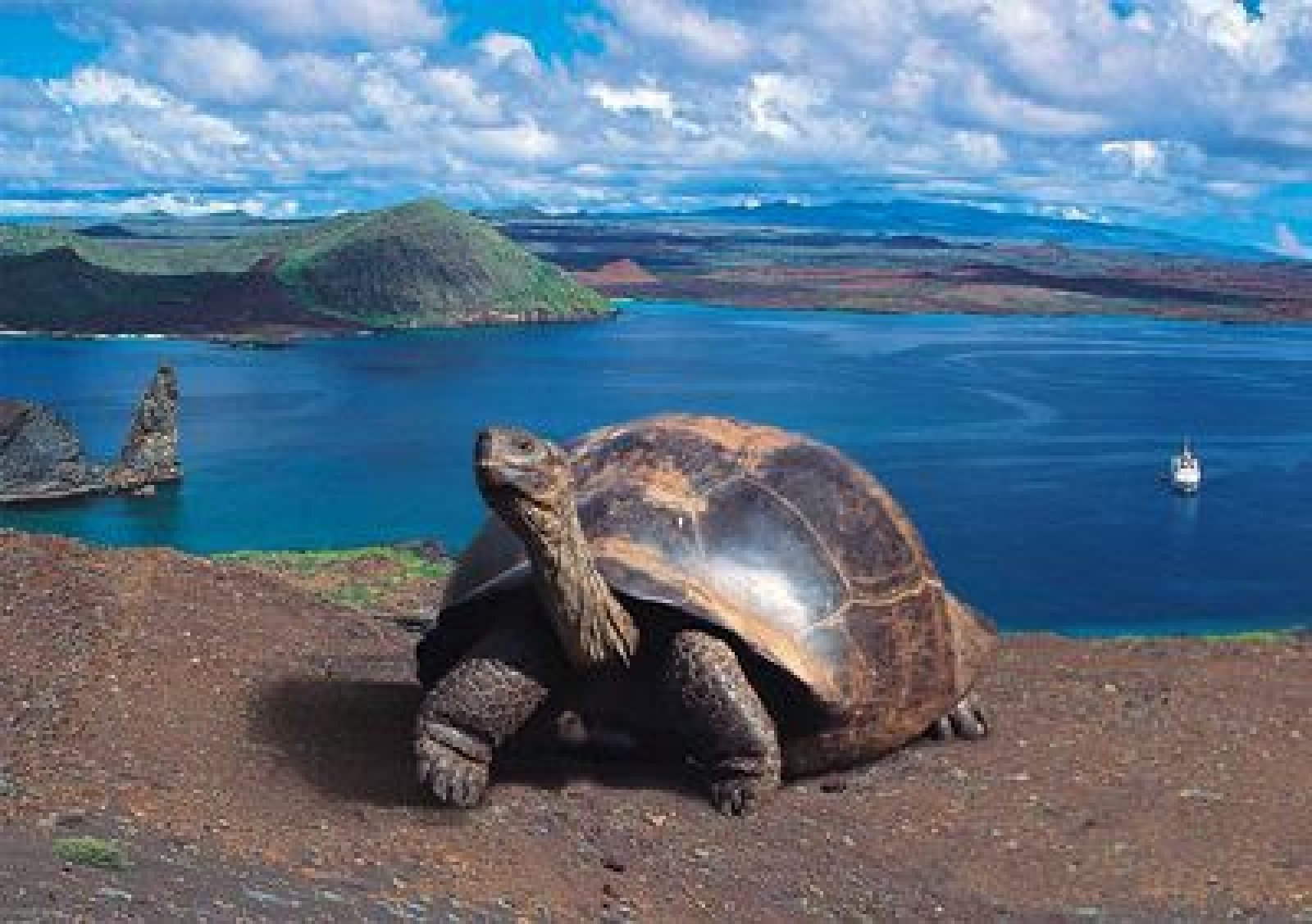 Island Hopping Tours