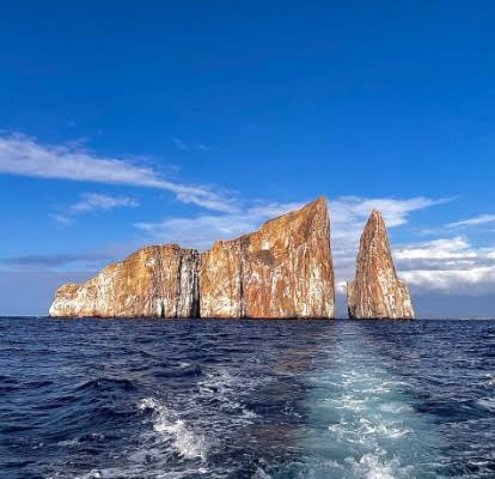 Tour 360° San Cristóbal Galápagos – Kicker Rock, Punta Pitt, Bahía Sardina y Rosa Blanca