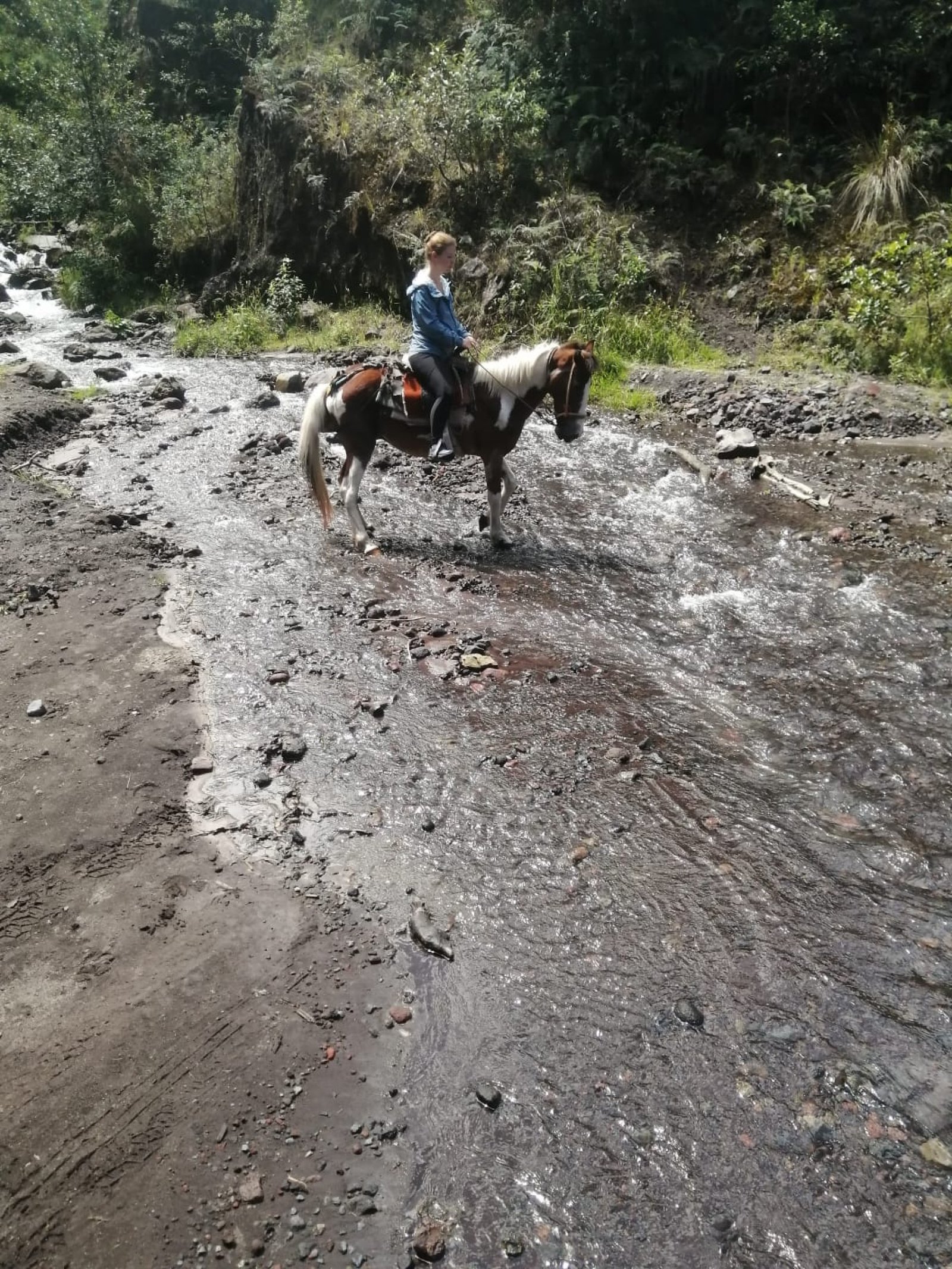 Horseback riding in Baños, Ecuador