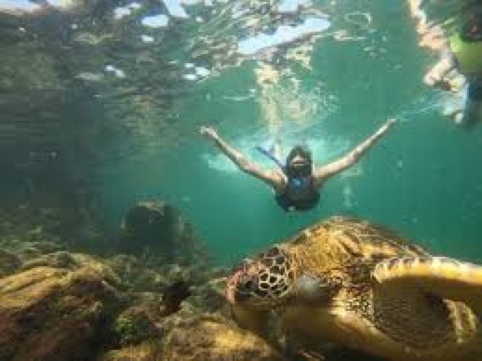 14-Day Galápagos & Ecuador Tour