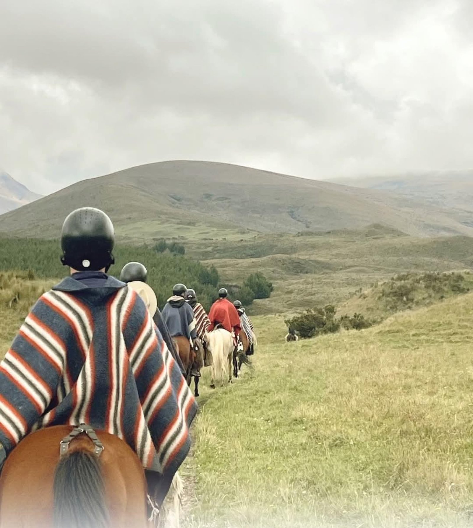 Tour Cotopaxi Full Day con Cabalgata | Aventura a Caballo desde Quito
