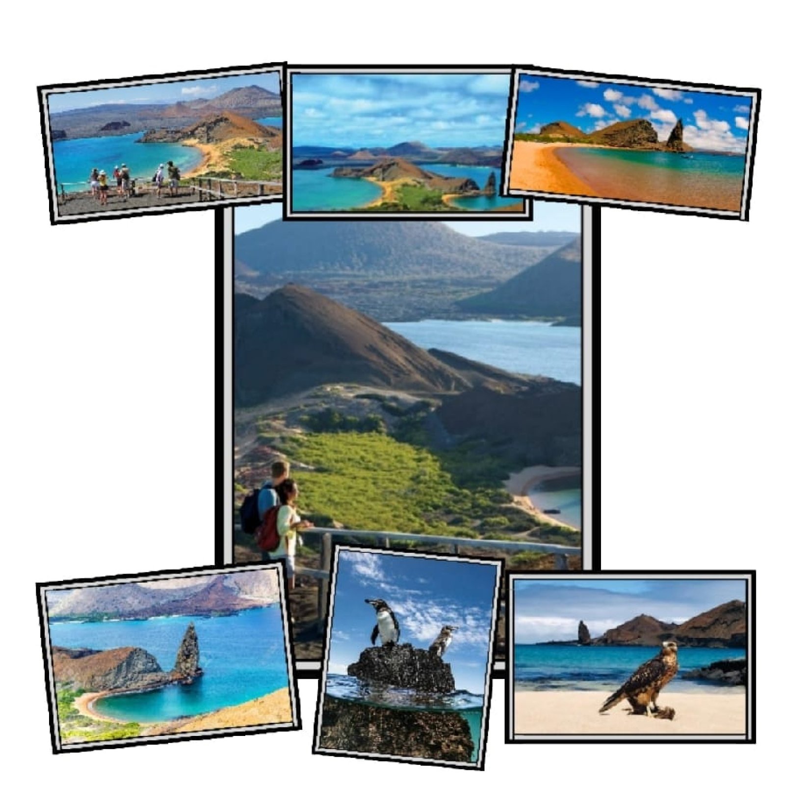 Tour Galápagos 6 Días: Isabela y Santa Cruz 