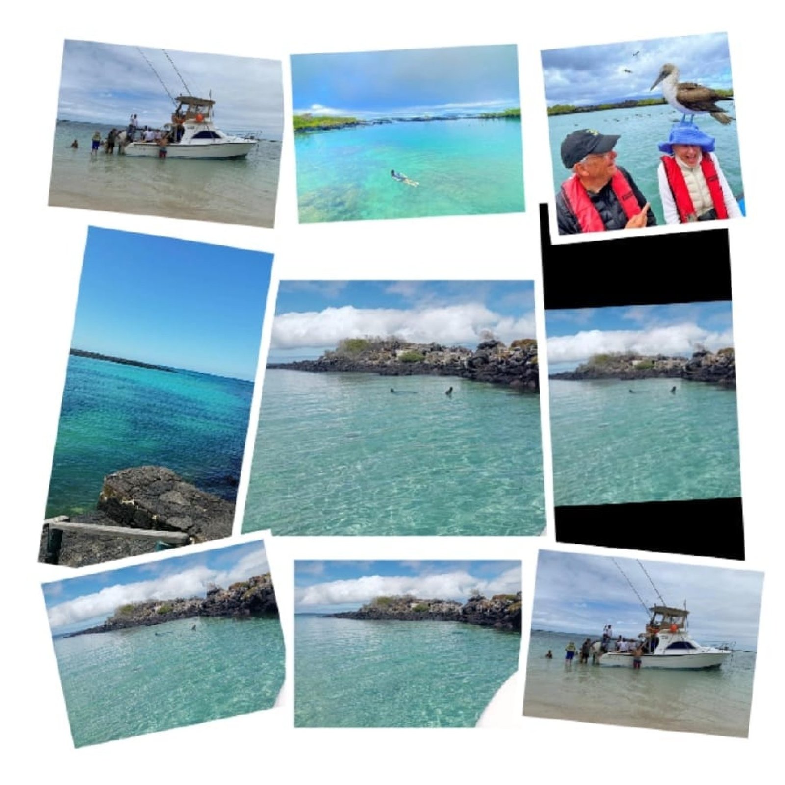6-Day Galápagos Tour: Isabela & Santa Cruz