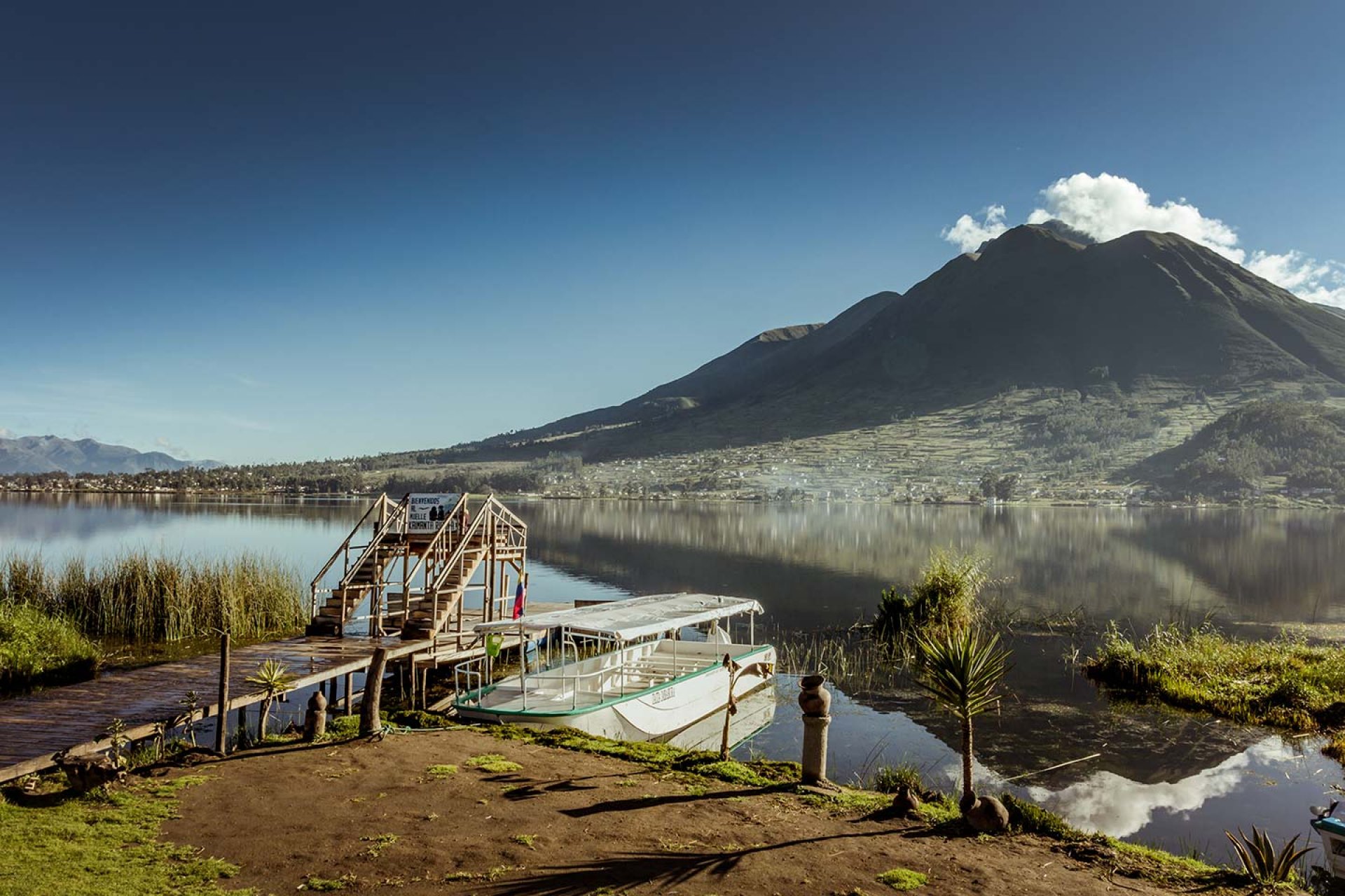 Full Day Cotopaxi