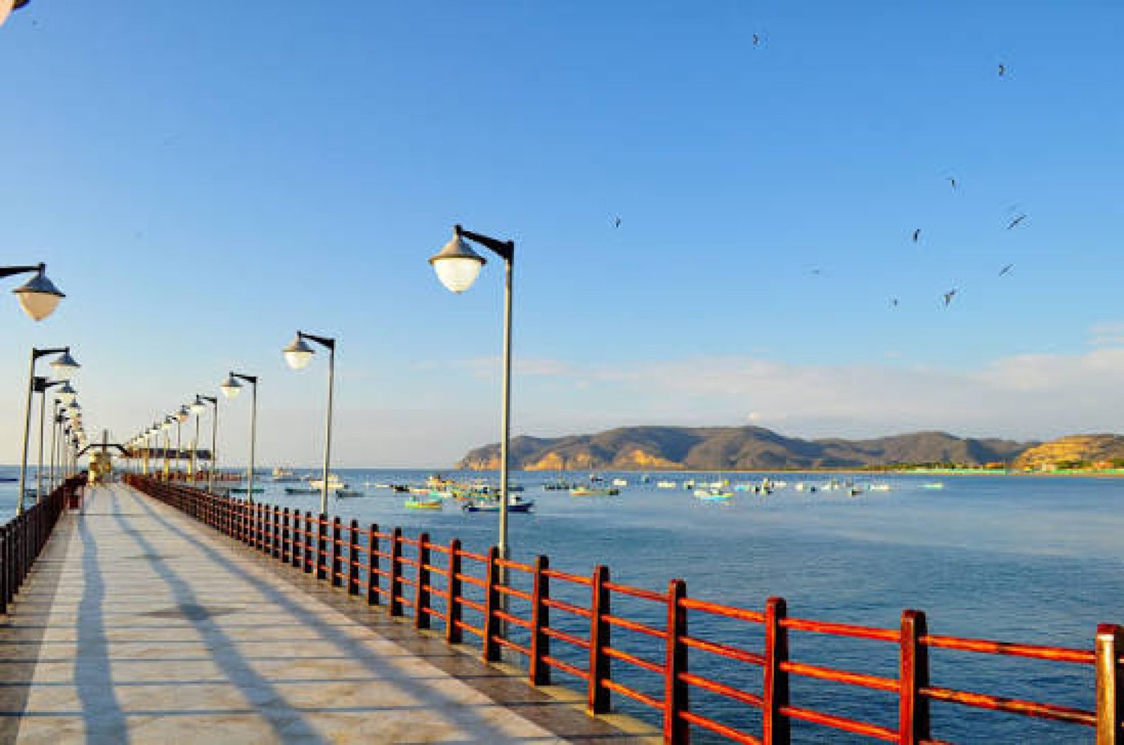 Pacific Coast Discovery Ecuador – 4 Days