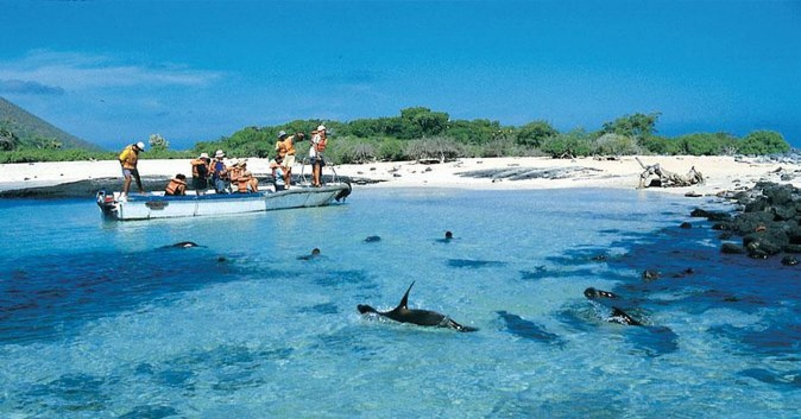 Tour Isla Española Galápagos – Punta Suárez & Gardner Bay