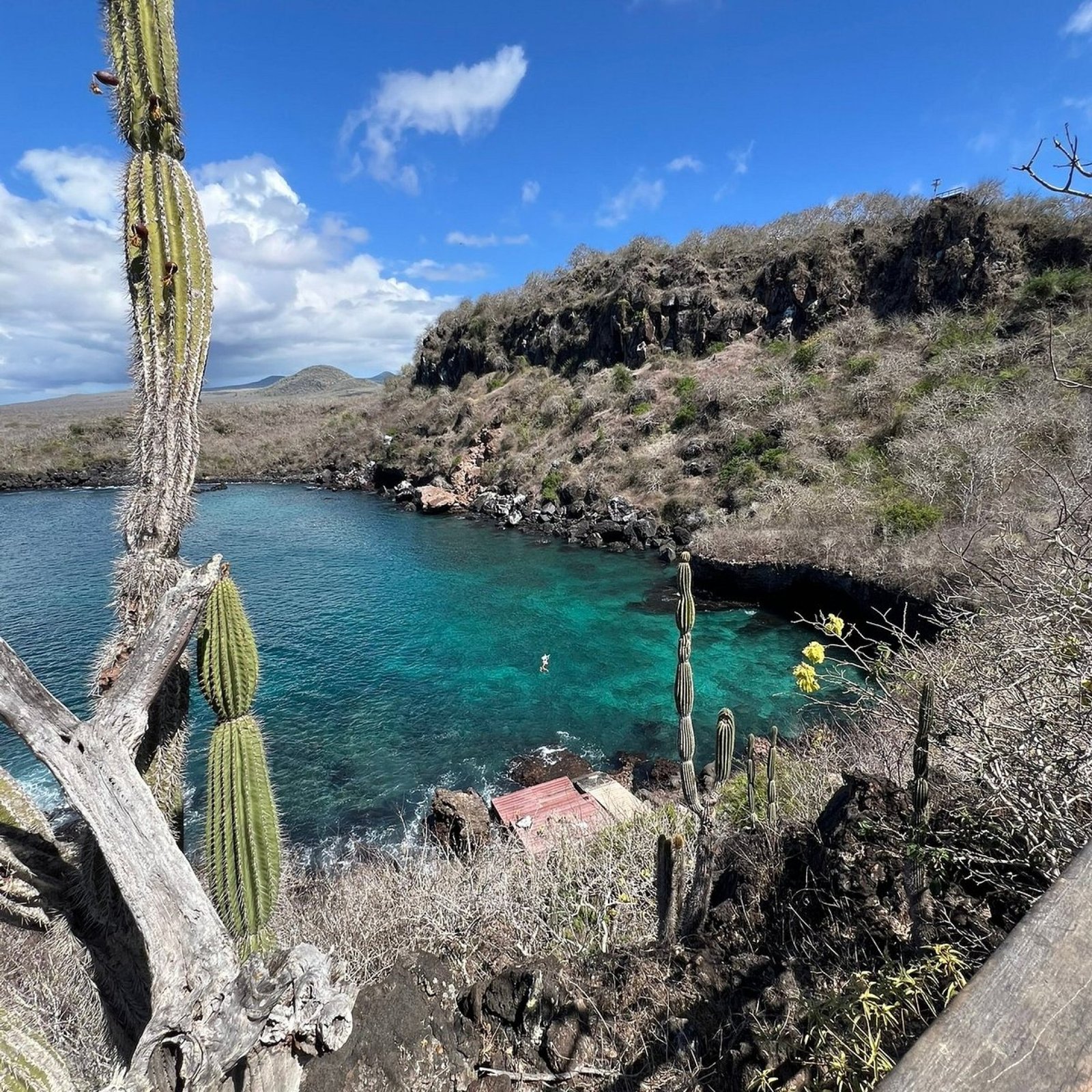 Fregate Hills (Cerro Tijeras)Tour - San Cristóbal Galápagos