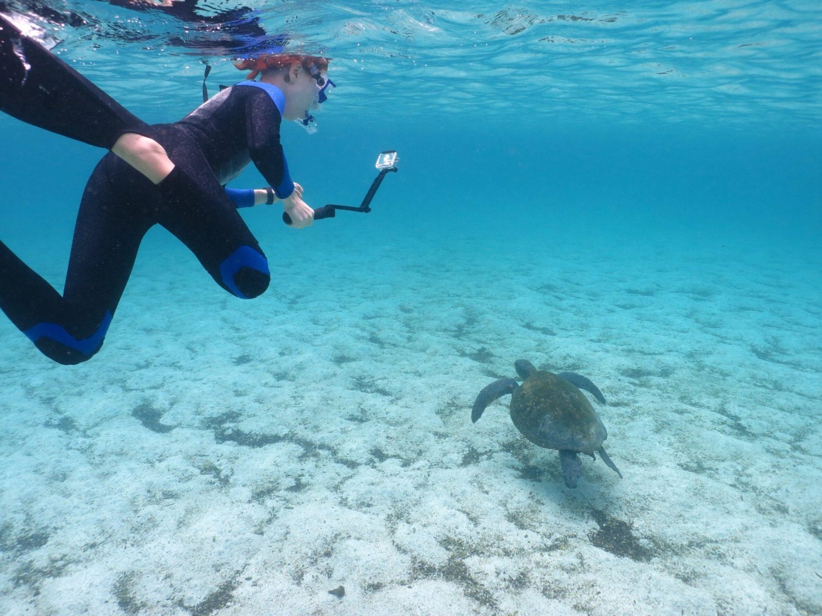 6-Day Galápagos Tour: Isabela & Santa Cruz