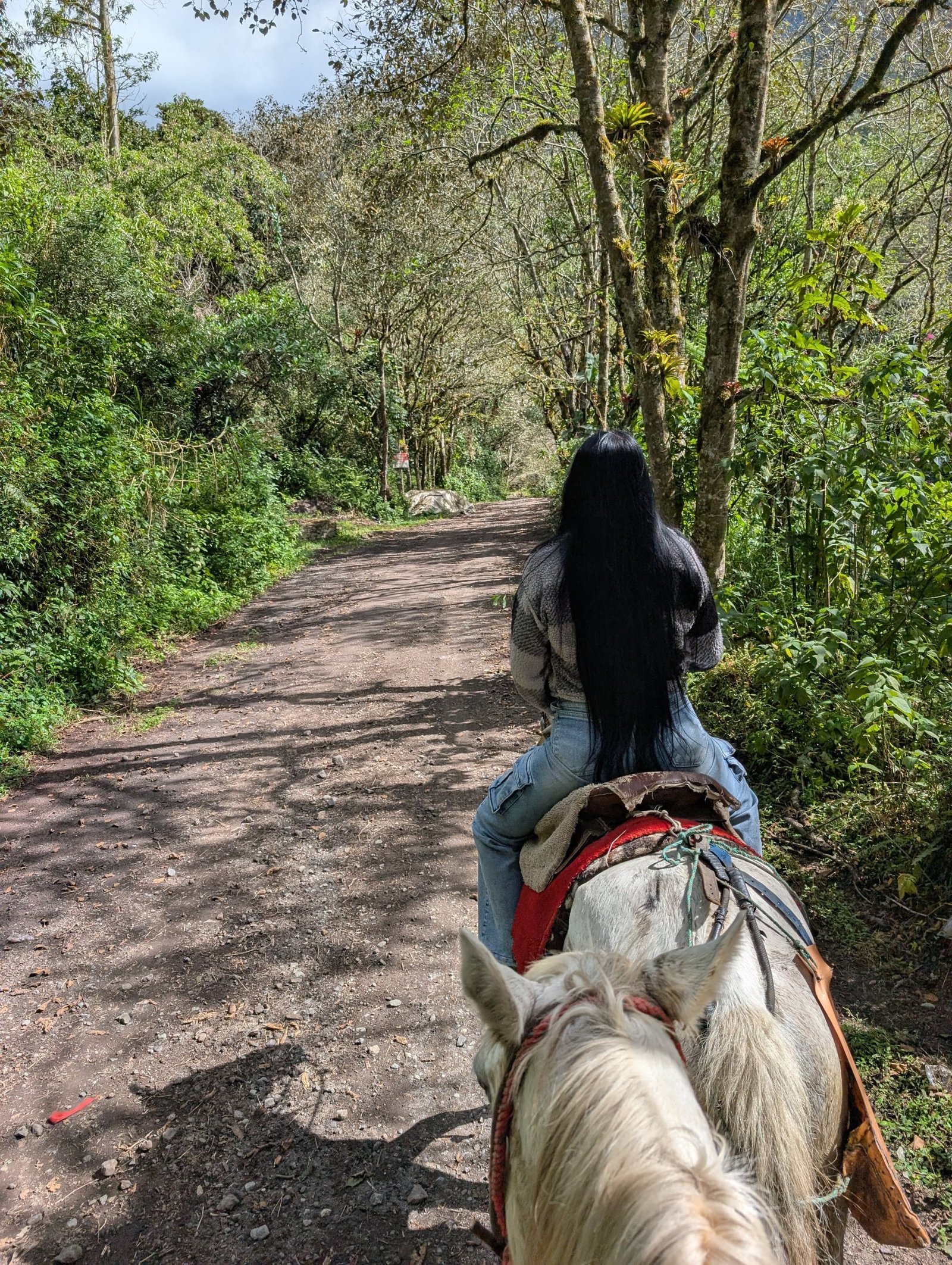 Horseback riding in Baños, Ecuador