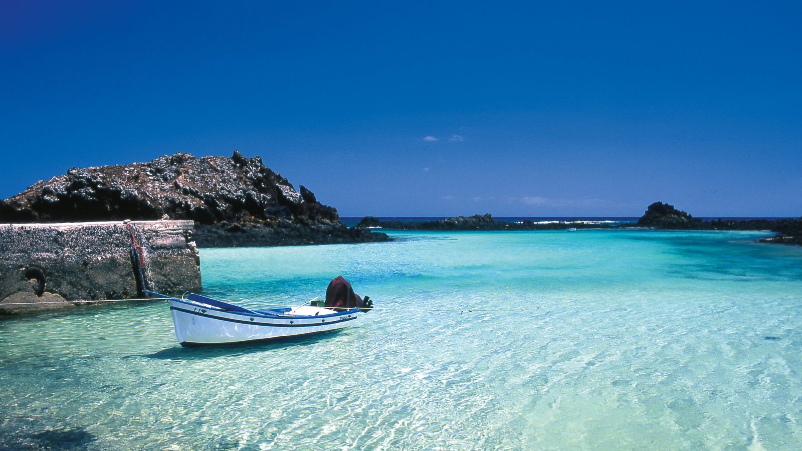 Tour Isla Lobos San Cristóbal – Senderismo, Lobos Marinos, Piqueros y Snorkeling