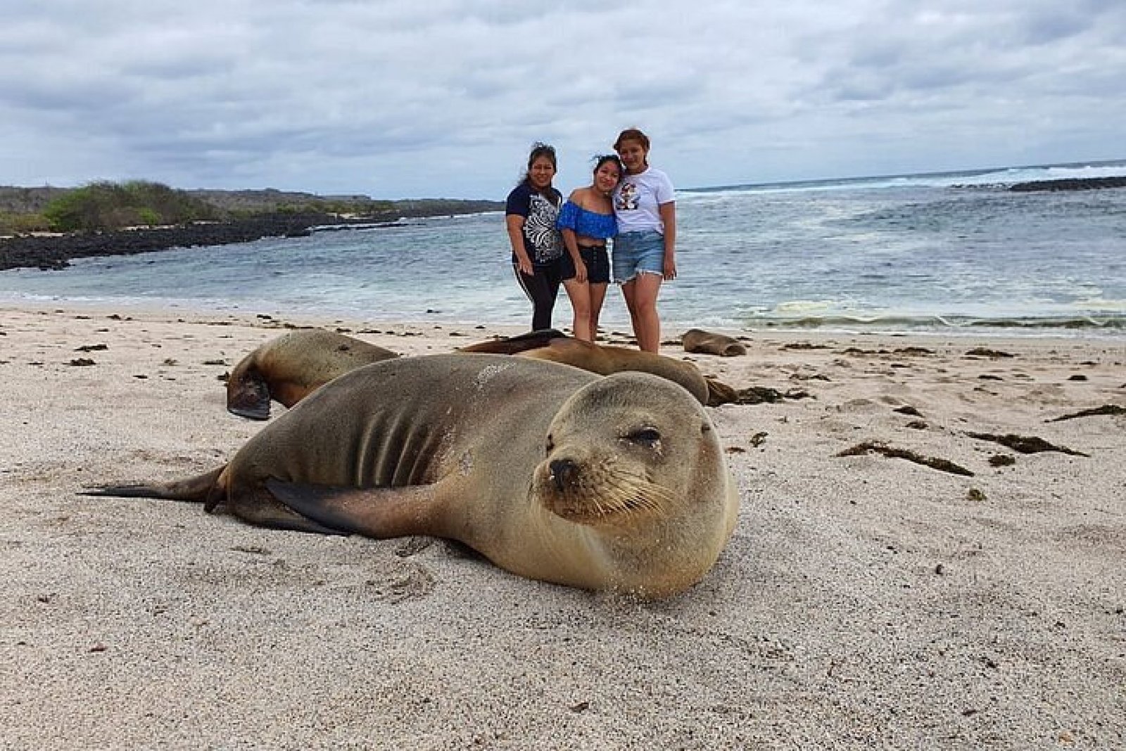 Tour La Lobería San Cristóbal – Lobos Marinos, Playa & Snorkeling