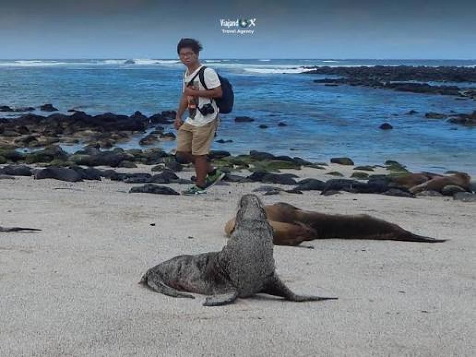 Tour La Lobería San Cristóbal – Lobos Marinos, Playa & Snorkeling