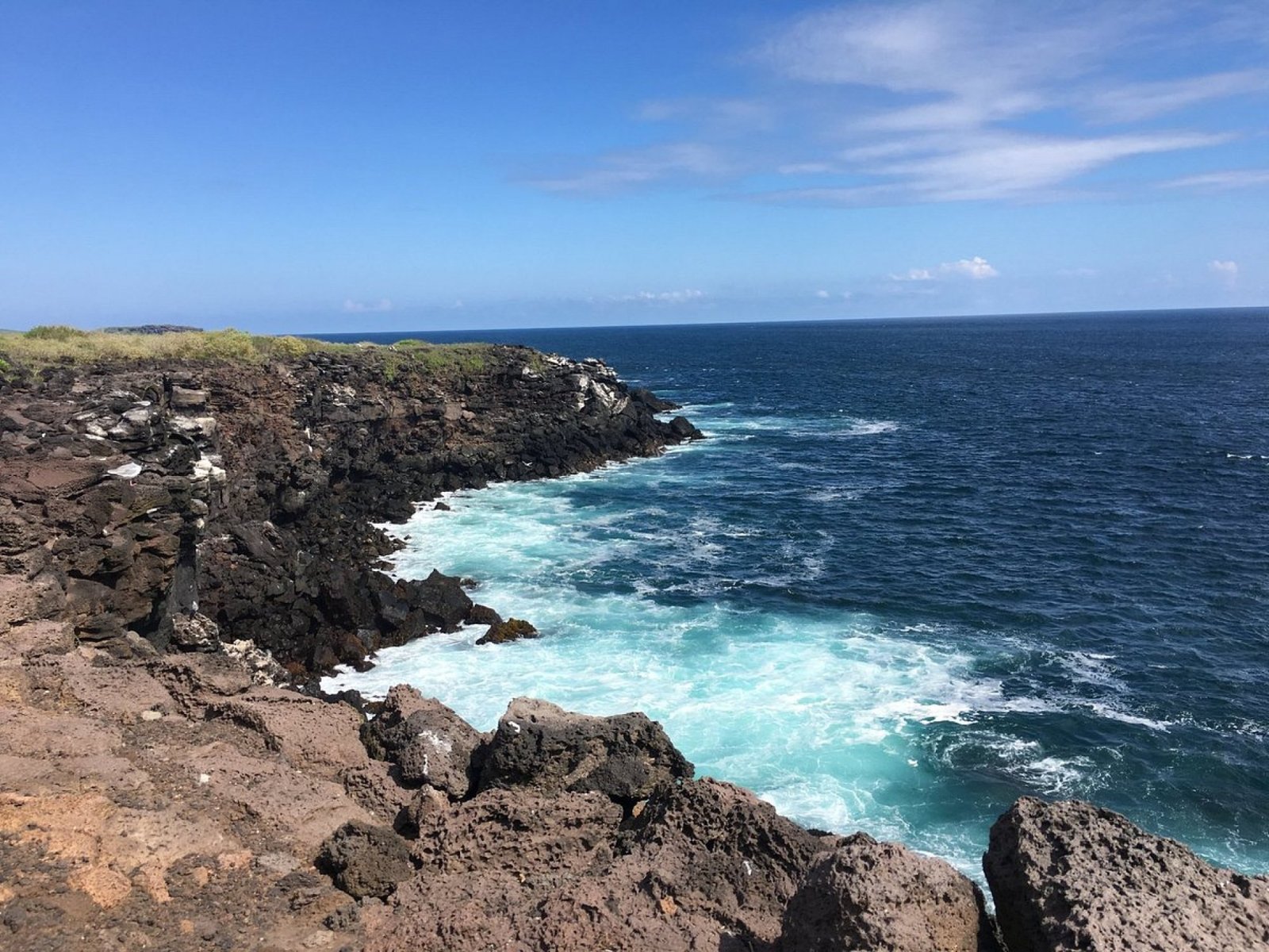 Tour La Lobería San Cristóbal – Lobos Marinos, Playa & Snorkeling