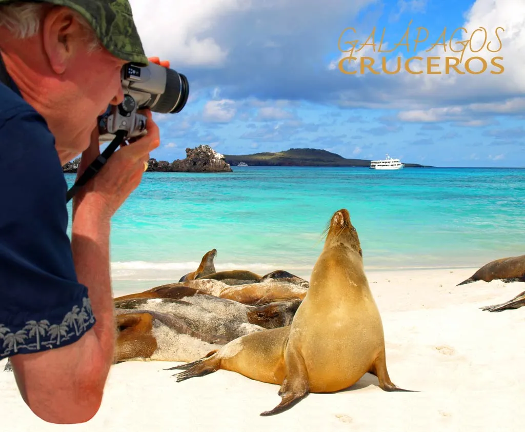 Tour La Lobería San Cristóbal – Lobos Marinos, Playa & Snorkeling