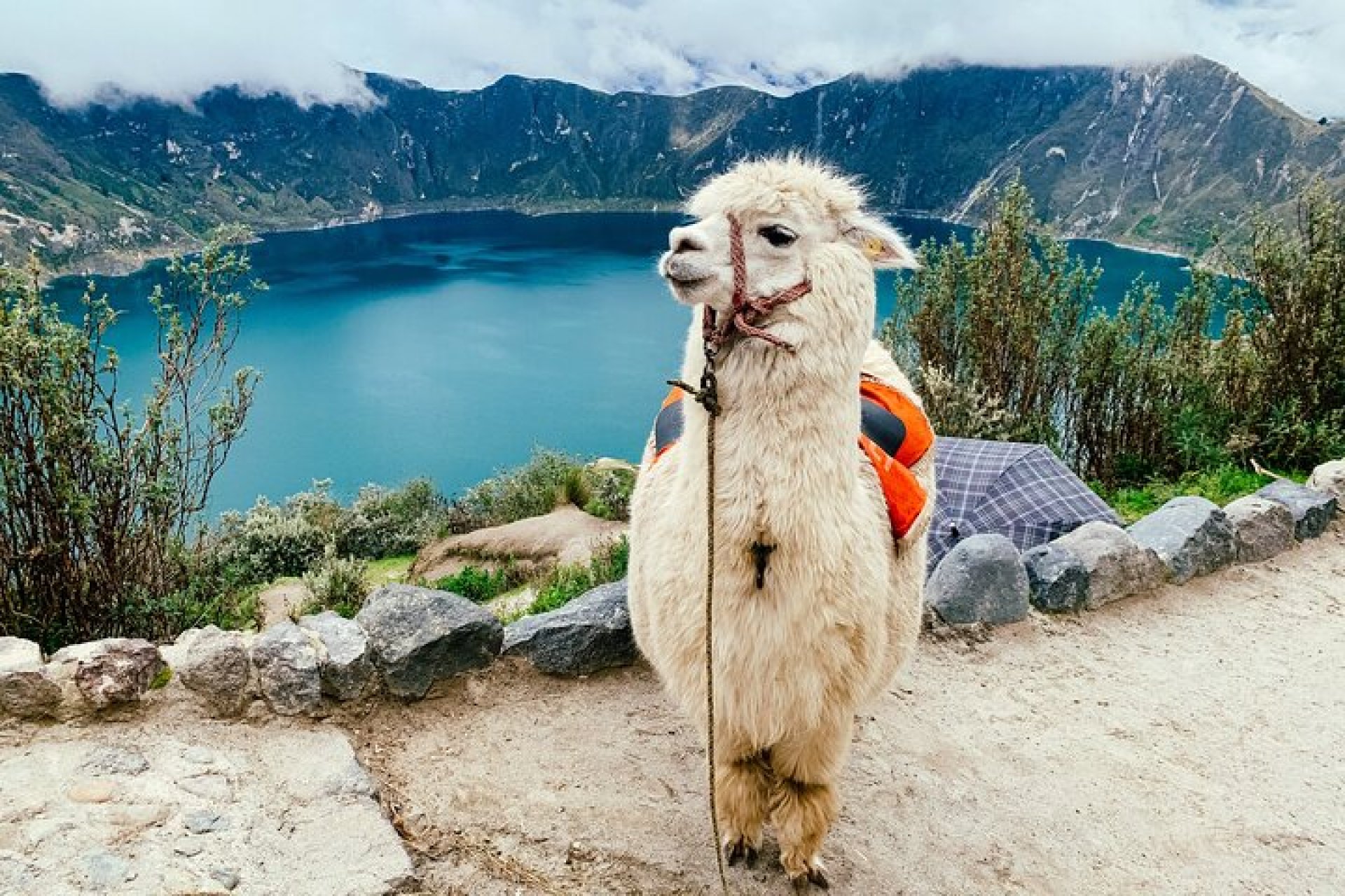 Full Day Quilotoa