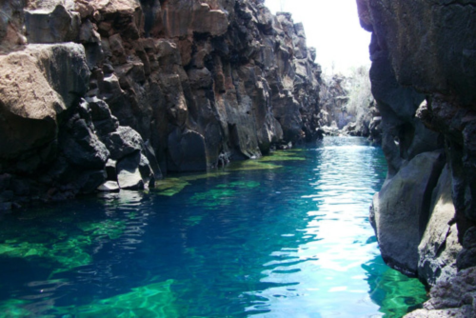 5 Day / 4 Nights Galápagos Tour – Santa Cruz Island