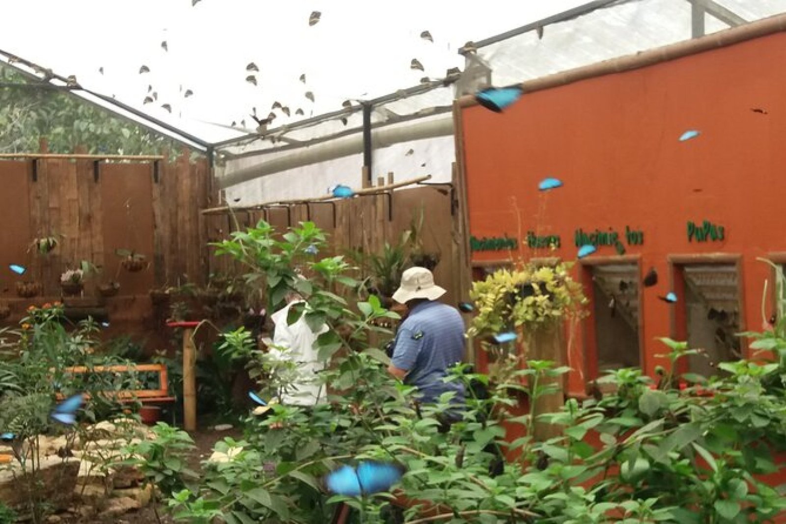 Private Mindo Full Day Tour from Quito | Cloud Forest, Chocolate & Waterfalls