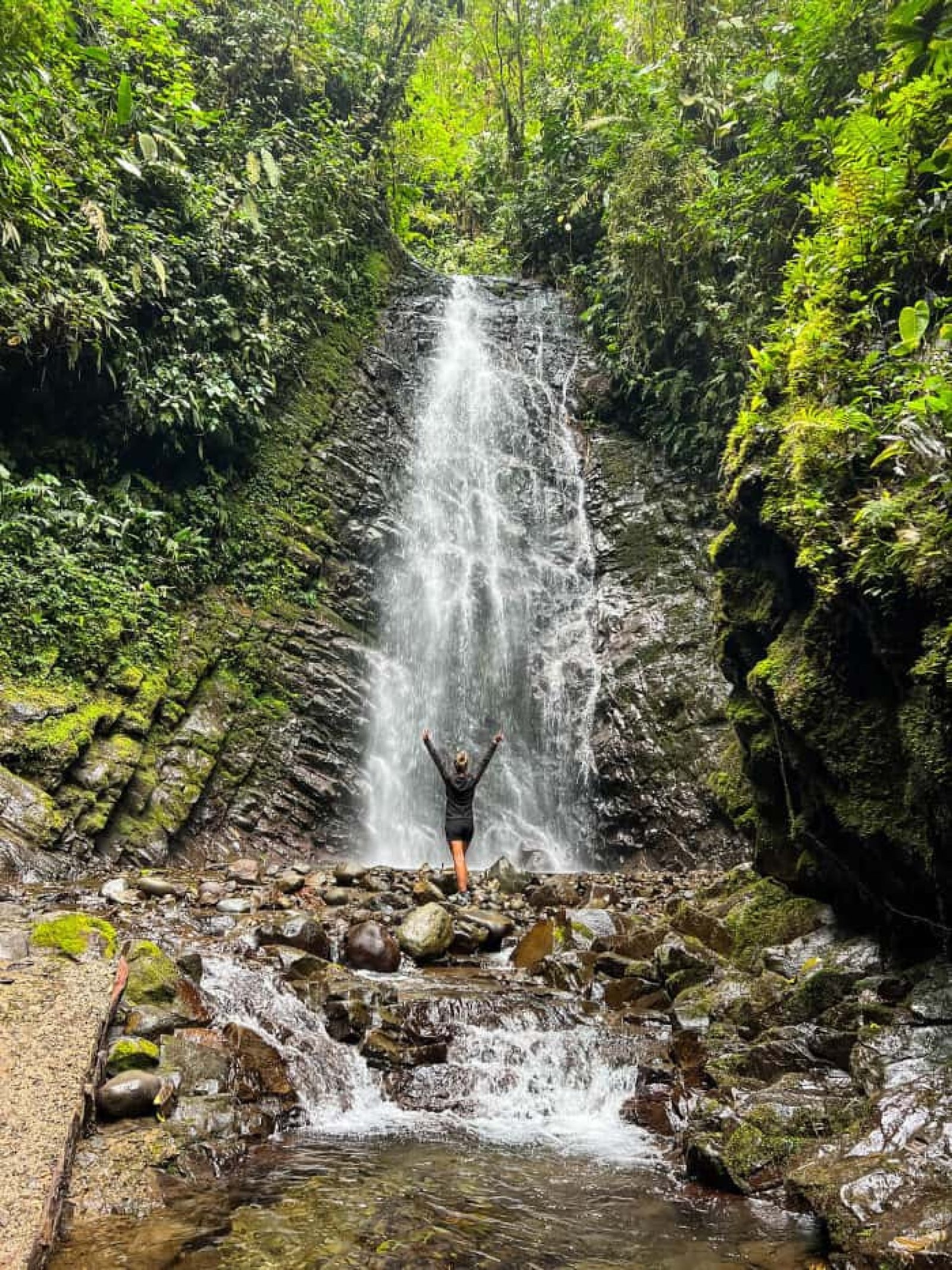 Private Mindo Full Day Tour from Quito | Cloud Forest, Chocolate & Waterfalls